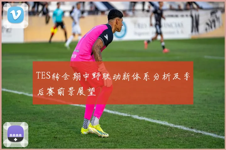 TES转会期中野联动新体系分析及季后赛前景展望